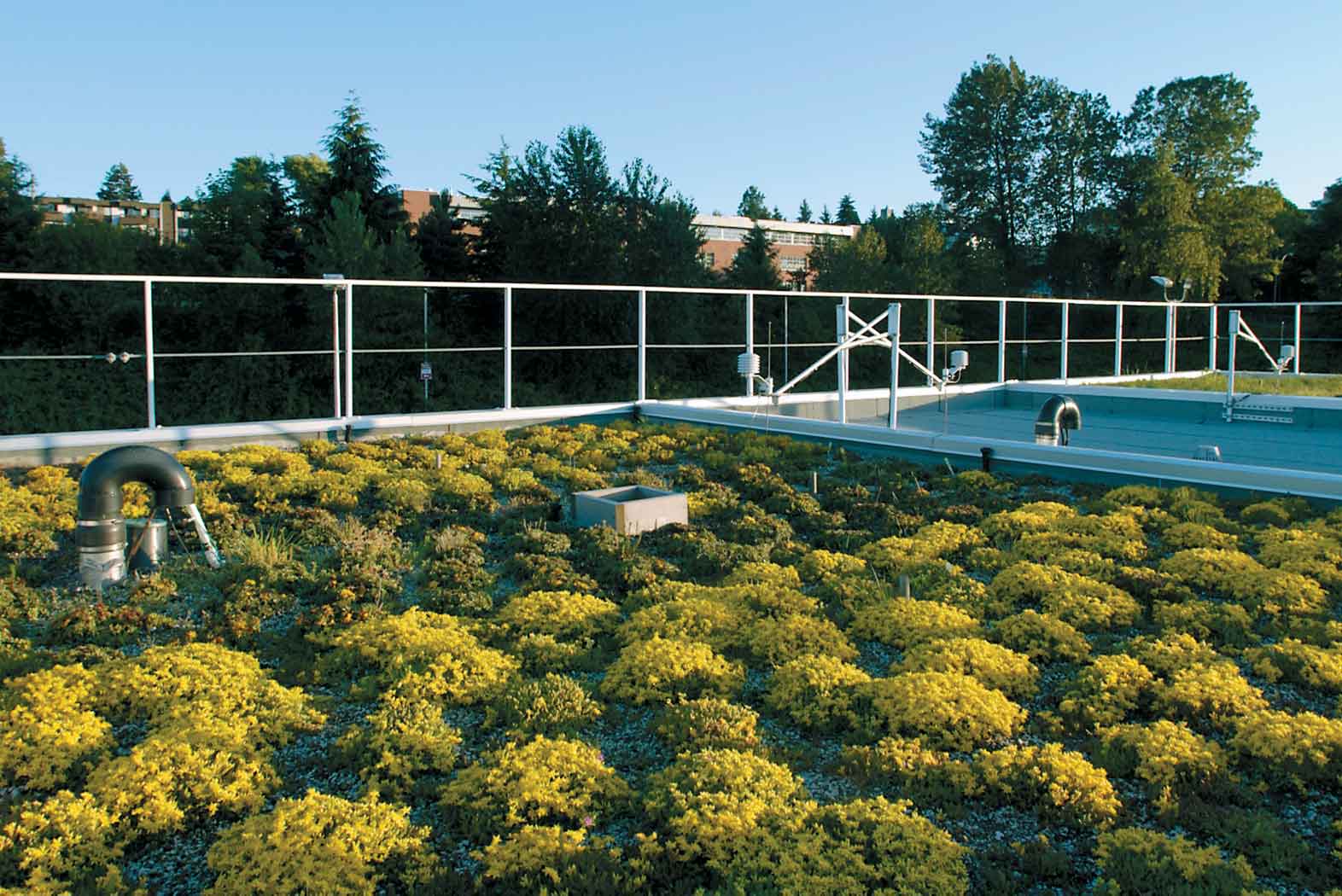 Green Roof